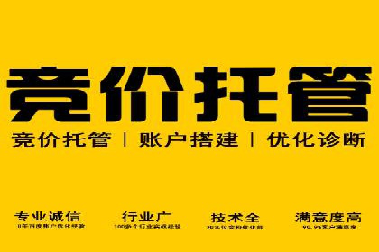 行业新秀如何通过SEM实现快速崛起